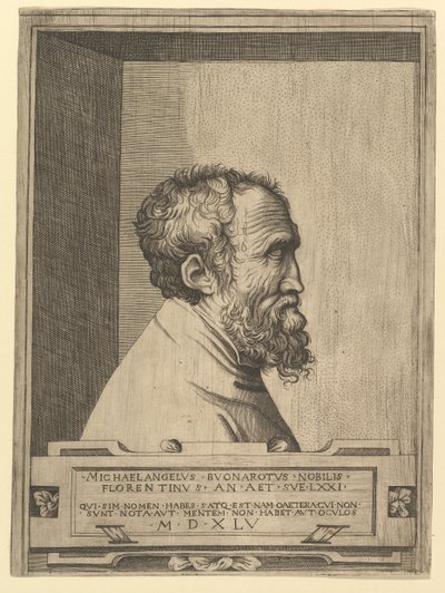 Ritratto di Michelangelo di profilo rivolto a destra in una nicchia da Unbekannt