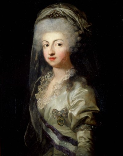 Ritratto della principessa Carolina Maria Teresa Giuseppa di Parma da Unbekannt