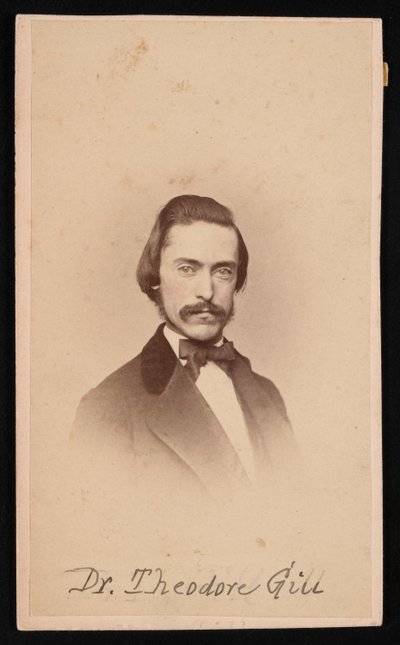 Ritratto di Theodore Nicholas Gill 1837-1914, circa 1860 da Unbekannt