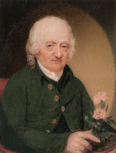 Ritratto di un gentiluomo, ca. 1810-15 da Unbekannt