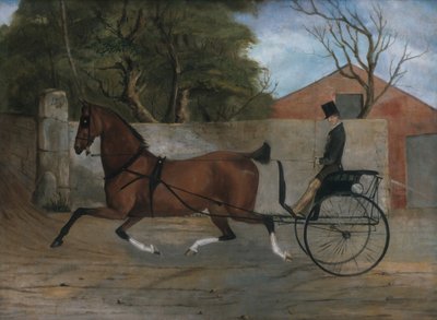 Ritratto di un Gentiluomo in una Carrozza, ca. 1850-60 da Unbekannt
