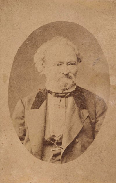 Ritratto del pianista e compositore Ferenc Erkel 1810-1893, c. 1875 da Unbekannt