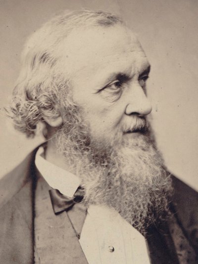 Ritratto del compositore Adrien de La Fage 1801-1862 da Unbekannt