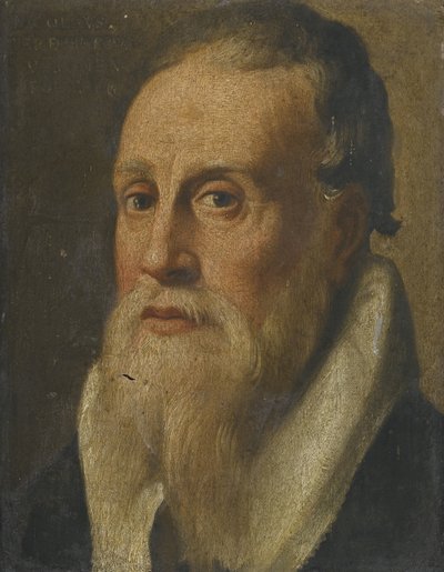 Ritratto del poeta Nicolò da Verona, seconda metà del XVI secolo da Unbekannt