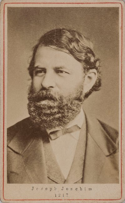 Ritratto del violinista e compositore Joseph Joachim 1831-1907 da Unbekannt