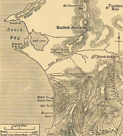 Posizioni delle forze ANZAC sulla penisola di Gallipoli in Turchia, Prima Guerra Mondiale, luglio 1915, c1920 da Unbekannt