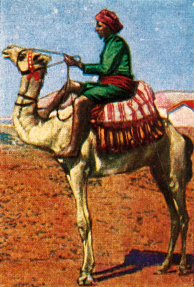 Posta consegnata da cammello, Arabia, c1928 da Unbekannt