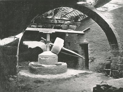 Mulino primitivo per il grano, Delta del Nilo, Egitto, 1895 da Unbekannt