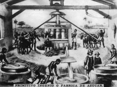 Ingegno primitivo, XVI secolo, anni 1920 da Unbekannt