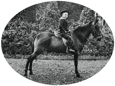 Principe Alberto Windsor a sei anni, seduto su un cavallo, 1902 da Unbekannt