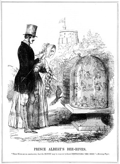Gli alveari del Principe Alberto, 1843 da Unbekannt