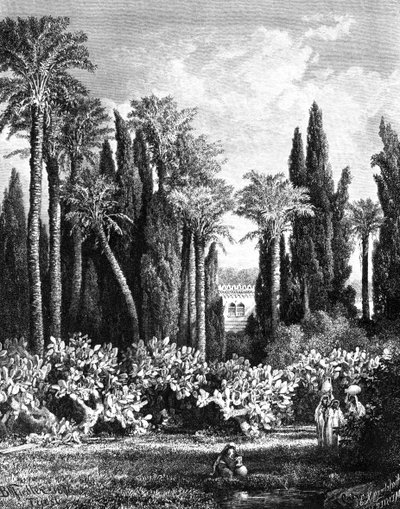 Giardino principesco al Cairo, Egitto, 1880 da Unbekannt