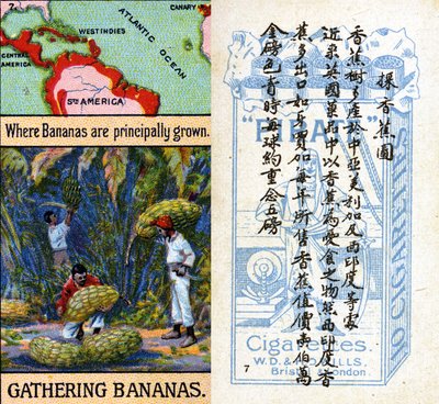 Principali aree di coltivazione delle banane, dalla serie di carte da sigaretta 