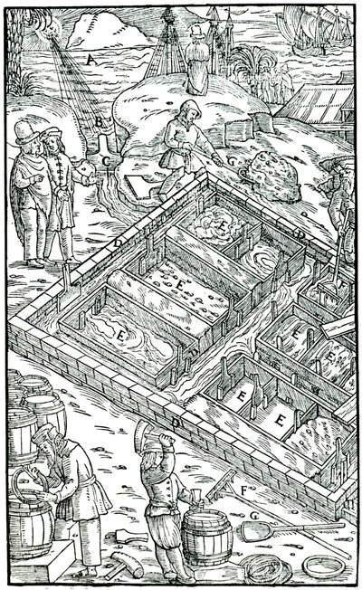 Produzione di sale evaporando acqua di mare in saline, 1556 da Unbekannt