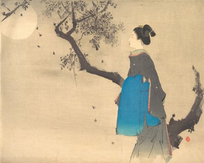Vista di profilo di una donna che passeggia al chiaro di luna, ca. 1908 da Unbekannt