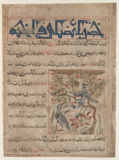 Qualità delle tortore recto, sui benefici delle quaglie verso..., c. 1300 da Unbekannt