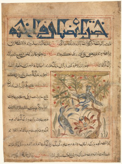 Qualità delle tortore, recto da Manafi al-Hayawan Sull
