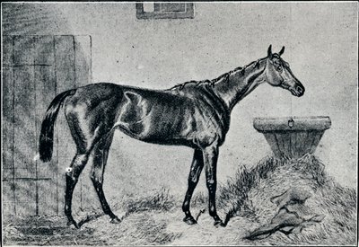 Regina Bertha, XIX secolo, 1911 da Unbekannt