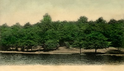 Queensmere, Wimbledon Common, Londra, 1903 da Unbekannt
