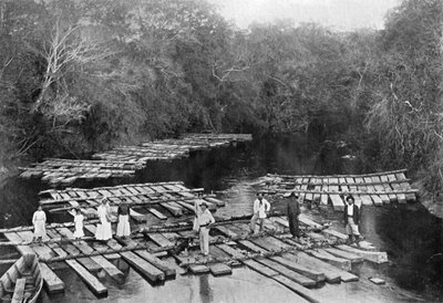 Zattere sul fiume Tebicuary-mi, Paraguay, 1911 da Unbekannt