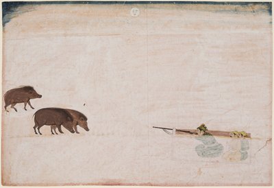 Raja Ram Chand di Amber caccia il cinghiale selvatico r. 1667-1688, c. 1670 da Unbekannt