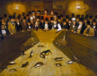 Cattura dei topi alla taverna Blue Anchor, Bunhill Row, Finsbury, c. 1850 da Unbekannt