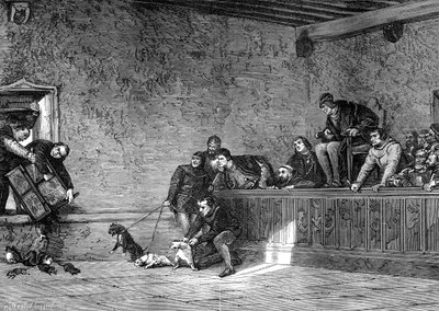 Combattimento di ratti, ricreazione di Luigi XI di Francia da Unbekannt