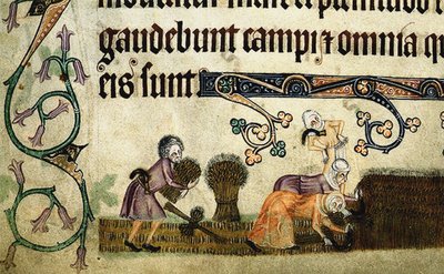 Mietitura e legatura dei covoni dal Luttrell Psalter, ca 1330 da Unbekannt