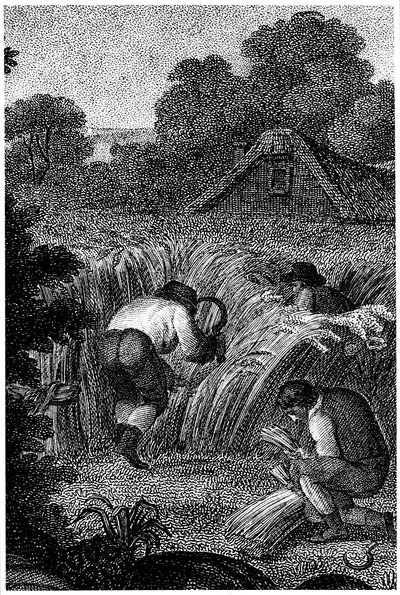 Mietitura con falci e legatura dei covoni, Inghilterra, c1800 da Unbekannt