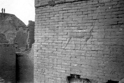 Rilievo sulla Porta di Ishtar, Babilonia, 1917-1919 da Unbekannt