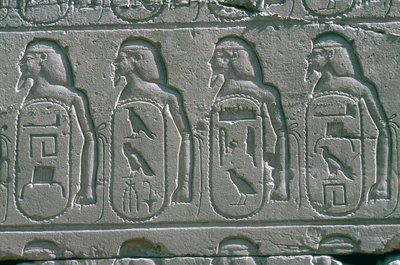 Rilievi che mostrano cartigli con i nomi delle città catturate del Vicino Oriente, Tempio di Amon, Karnak, Egitto da Unbekannt