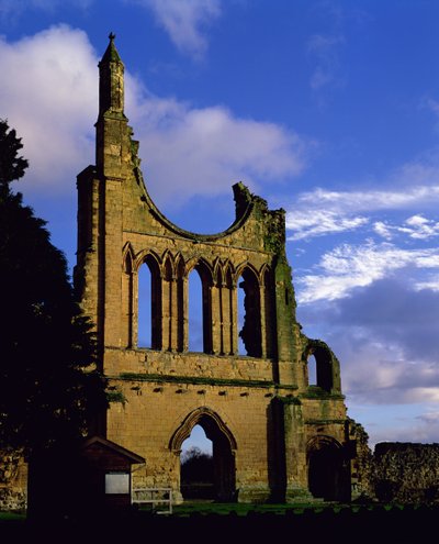 Resti della facciata, Abbazia di Byland, North Yorkshire (foto) da Unbekannt