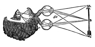 Idea di visione di René Descartes, che mostra la funzione dell