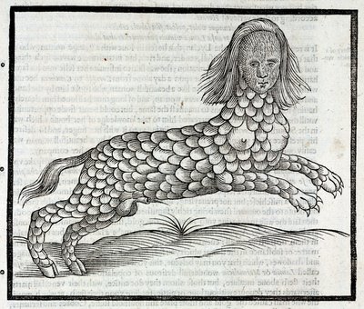 Rappresentazione della creatura Lamia (Sybaris) - Incisione tratta da "History of Four-Footed Beastes" di Edward Topsell 1607 da Unbekannt