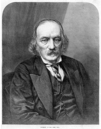 Richard Owen, anatomista e paleontologo inglese, 1872 da Unbekannt