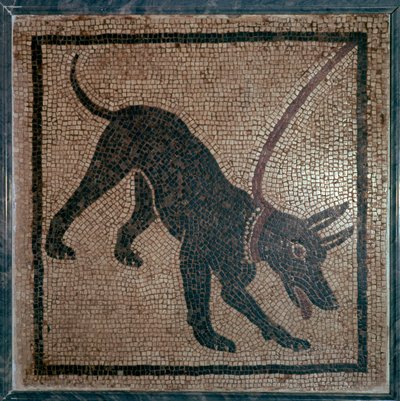 Mosaico romano di un cane, I secolo da Unbekannt