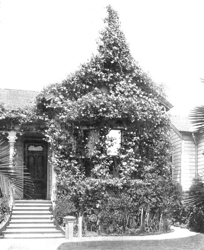 Rose Cottage, South Spring Street, Los Angeles, California, USA, c1900 da Unbekannt