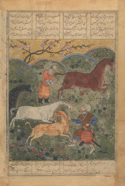 Rustam Cattura il Cavallo Rakhsh, Foglio da un Libro di Shahnama da Unbekannt