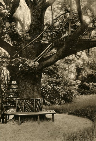 Trattamento rustico. - Casa estiva su un albero, una casa da tè ideale, 1920 da Unbekannt