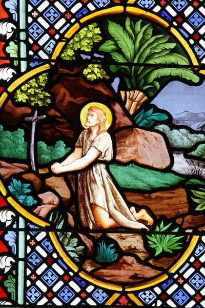 Cattedrale di Saint-Corentin, Quimper: vetrata di Giovanni Battista nel deserto, Quimper, Francia da Unbekannt