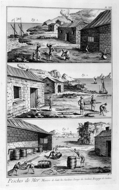 Salatura, lavaggio, confezionamento delle sardine, 1751-1777 da Unbekannt