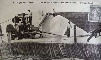 Saline, Camargue, Aigues-Mortes, Provenza, Francia (foto in b/n) da Unbekannt