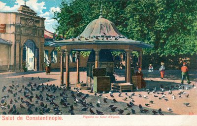 Salut de Constantinople - Piccioni al cortile di Eyoub, c1900 da Unbekannt