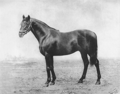 San-Toi, 1911 da Unbekannt