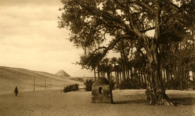 Saqqara - La Piramide a gradoni vista dal sicomoro, c1918-c1939 da Unbekannt