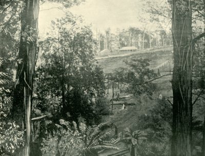 Scena a Upper Gembrook, Victoria, 1901 da Unbekannt