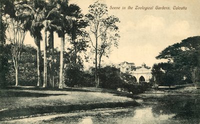 Scena nei Giardini Zoologici, Calcutta da Unbekannt