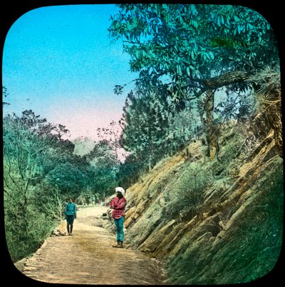 Scena su una strada, Murree, India, fine XIX o inizio XX secolo da Unbekannt