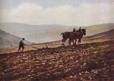 Scozia, c1930s da Unbekannt