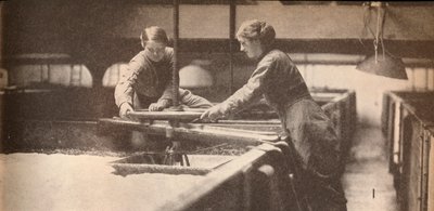 Avvitamento del lievito in una birreria di Burton-On-Trent, c1916, 1935 da Unbekannt